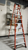 WERNER 10' LADDER, MODEL: NXT1A10 MK20