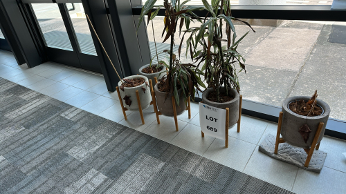 LOT OF (5) PLANTERS