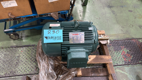 Lesson WattSaver 15 HP Induction Motor