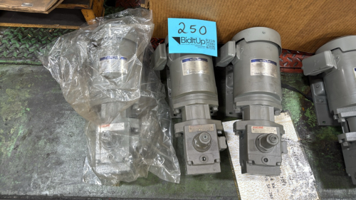 (3) Racine 0.4 KW 3~ Induction Motor