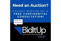 NEED AN AUCTION?