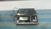 GLOBAL INDUSTRIAL 60 LBS CAPACITY SCALE WITH METAL CABINET - 2