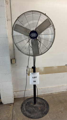 GLOBAL 30&rdquo; PEDESTAL FAN