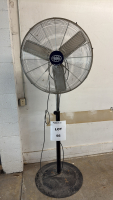 GLOBAL 30&rdquo; PEDESTAL FAN