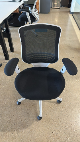 LOT OF (4) OFFICE CHAIRS