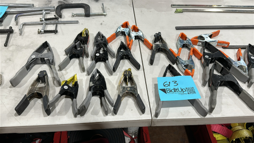 (25) Asstd Clamps