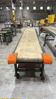 128&rdquo; HYTROL CONVEYOR BELT - 2