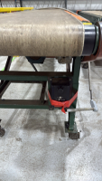 190&rdquo; CONVEYOR BELT - 2