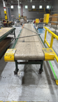 190&rdquo; CONVEYOR BELT - 4
