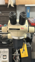 HyBond 572A Deep Access - 3