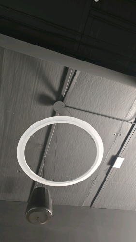 Overhead Hanging Circle Lights - (12) Total