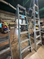WERNER LADDER