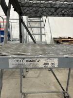 Cotterman Rolling Ladder - 2