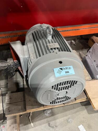 Walton Motors & Controls Heavy Duty Industrial Electric Motor