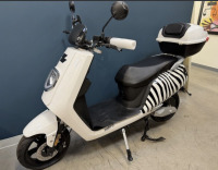 Zebra Electric Scooter (1 of 3)