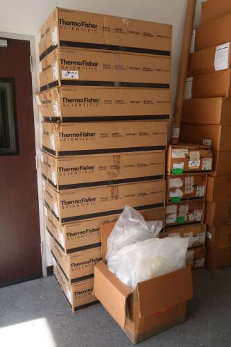 Thermo Scientific Drum Liners