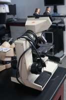 Nikon Microscope - 2