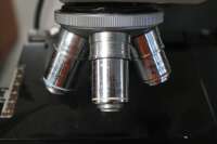 Nikon Microscope - 4