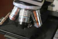 Nikon Microscope - 5