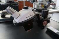 Bausch & Lomb Microscope with Articulating Base - 2