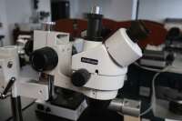 Amscope Microscope with Articulating Base - 2