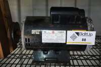 Lot of Assorted Pumps & Motors - 9