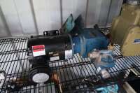 Lot of Assorted Pumps & Motors - 19