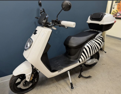 Zebra Scooter (3 of 3)