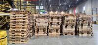 Lot of (240) Wooden Pallets - 2