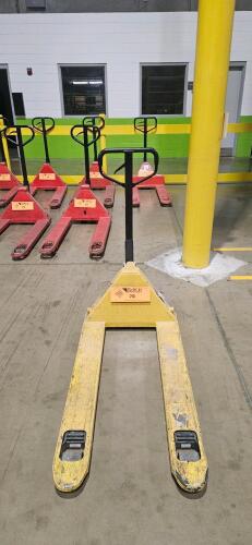 Yale ECO-I55 Pallet Jack