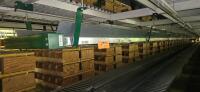 Belt-On Trash Line Conveyor