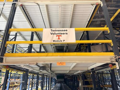 3 Level Mezzanine Pick Module (P)
