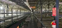 3 Level Mezzanine Pick Module (C) - 7