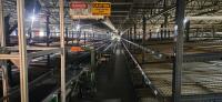 3 Level Mezzanine Pick Module (A) - 7