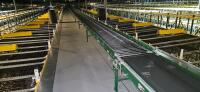 28&rdquo; Roller Conveyor System - 2