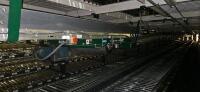 Belt-On Trash Line Conveyor - 3