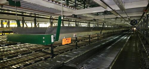 Belt-On Trash Line Conveyor