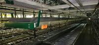 Belt-On Trash Line Conveyor