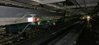 Belt-On Trash Line Conveyor - 2