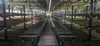 28&rdquo; Conveyor System, w/ Gate Limit Switch - 4