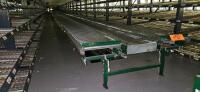 28&rdquo; Roller Conveyor System - 2